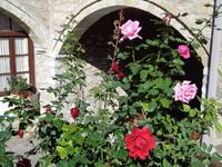 056 Rosen in St. Stephanou &ndash; &copy; Peter Rudolph (Eberhardt TRAVEL)