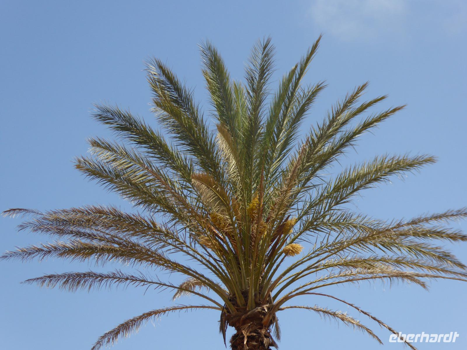 Kreta  &ndash; &copy; Sabine Letzybyll (Eberhardt TRAVEL)