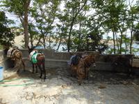 Lindos &ndash; &copy; Sabine Letzybyll (Eberhardt TRAVEL)