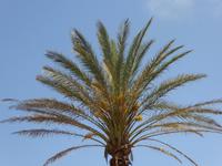 Kreta  &ndash; &copy; Sabine Letzybyll (Eberhardt TRAVEL)