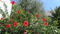 Naxos &ndash; &copy; Petra Sauer (Eberhardt TRAVEL)