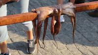 Octopus &ndash; &copy; Petra Sauer (Eberhardt TRAVEL)