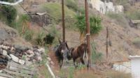 Thirasia &ndash; &copy; Petra Sauer (Eberhardt TRAVEL)