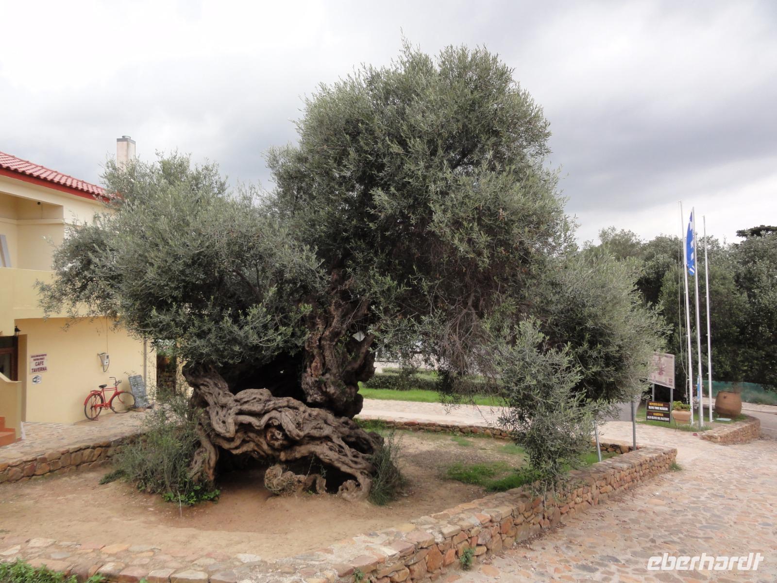 DSC06418 &ndash; &copy; Nico Stolba (Eberhardt TRAVEL)