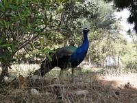 DSC05967 &ndash; &copy; Nico Stolba (Eberhardt TRAVEL)