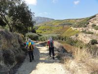 DSC06020 &ndash; &copy; Nico Stolba (Eberhardt TRAVEL)