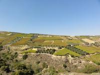 DSC06028 &ndash; &copy; Nico Stolba (Eberhardt TRAVEL)