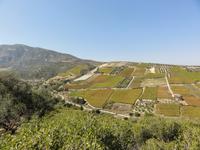 DSC06037 &ndash; &copy; Nico Stolba (Eberhardt TRAVEL)