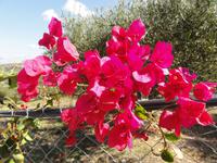 DSC06042 &ndash; &copy; Nico Stolba (Eberhardt TRAVEL)