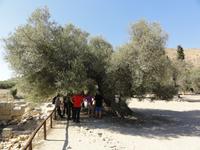 DSC06049 &ndash; &copy; Nico Stolba (Eberhardt TRAVEL)