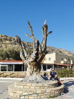 DSC06061 &ndash; &copy; Nico Stolba (Eberhardt TRAVEL)