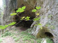 DSC06235 &ndash; &copy; Nico Stolba (Eberhardt TRAVEL)