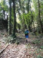 DSC06247 &ndash; &copy; Nico Stolba (Eberhardt TRAVEL)