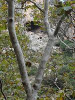 DSC06349 &ndash; &copy; Nico Stolba (Eberhardt TRAVEL)