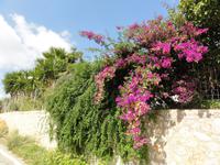 DSC06405 &ndash; &copy; Nico Stolba (Eberhardt TRAVEL)