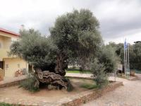 DSC06418 &ndash; &copy; Nico Stolba (Eberhardt TRAVEL)