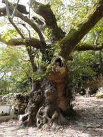 DSC06489 &ndash; &copy; Nico Stolba (Eberhardt TRAVEL)