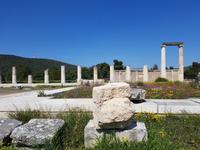 211_Epidaurus &ndash; &copy; Jörg Nesse (Eberhardt TRAVEL)