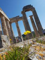 305_Nemea &ndash; &copy; Jörg Nesse (Eberhardt TRAVEL)