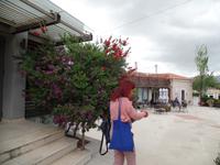 Myrtia Kazantzakis-Museum &ndash; &copy; Petra Sauer (Eberhardt TRAVEL)