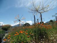 Lassithi-Hochebene &ndash; &copy; Petra Sauer (Eberhardt TRAVEL)