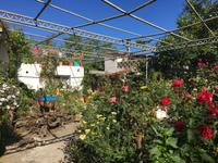 Mittagspause &ndash; &copy; Petra Sauer (Eberhardt TRAVEL)