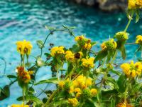 Korfu  &ndash; &copy; Sabine Letzybyll (Eberhardt TRAVEL)