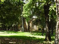 Mon Repos - Korfu &ndash; &copy; Sabine Letzybyll (Eberhardt TRAVEL)