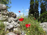 Dodona &ndash; &copy; Sabine Letzybyll (Eberhardt TRAVEL)