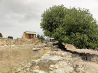 Knossos &ndash; &copy; Nico Stolba (Eberhardt TRAVEL)