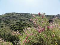 Knosiano Schlucht &ndash; &copy; Nico Stolba (Eberhardt TRAVEL)