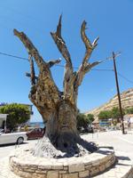 Matala &ndash; &copy; Nico Stolba (Eberhardt TRAVEL)