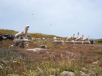 Delos &ndash; &copy; Sinah Witzig (Eberhardt TRAVEL)