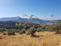 Blick auf Nea Styra &ndash; &copy; Sophia Bär (Eberhardt TRAVEL)