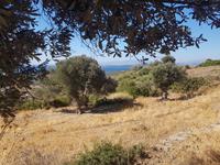 Panorama Wanderung &ndash; &copy; Sophia Bär (Eberhardt TRAVEL)