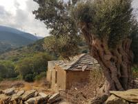 Wanderung nach Kellia &ndash; &copy; Sophia Bär (Eberhardt TRAVEL)