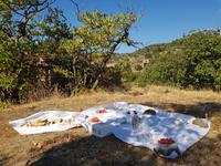 Picknick &ndash; &copy; Sophia Bär (Eberhardt TRAVEL)
