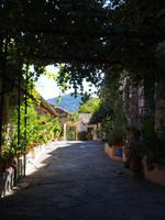 Mystras &ndash; &copy; Sinah Witzig (Eberhardt TRAVEL)