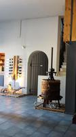 Im Weingut Vasiliou &ndash; &copy; Maxi Goldbach (Eberhardt TRAVEL)
