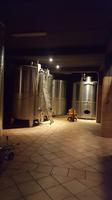 Im Weingut Vasiliou &ndash; &copy; Maxi Goldbach (Eberhardt TRAVEL)