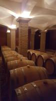 Im Weingut Vasiliou &ndash; &copy; Maxi Goldbach (Eberhardt TRAVEL)