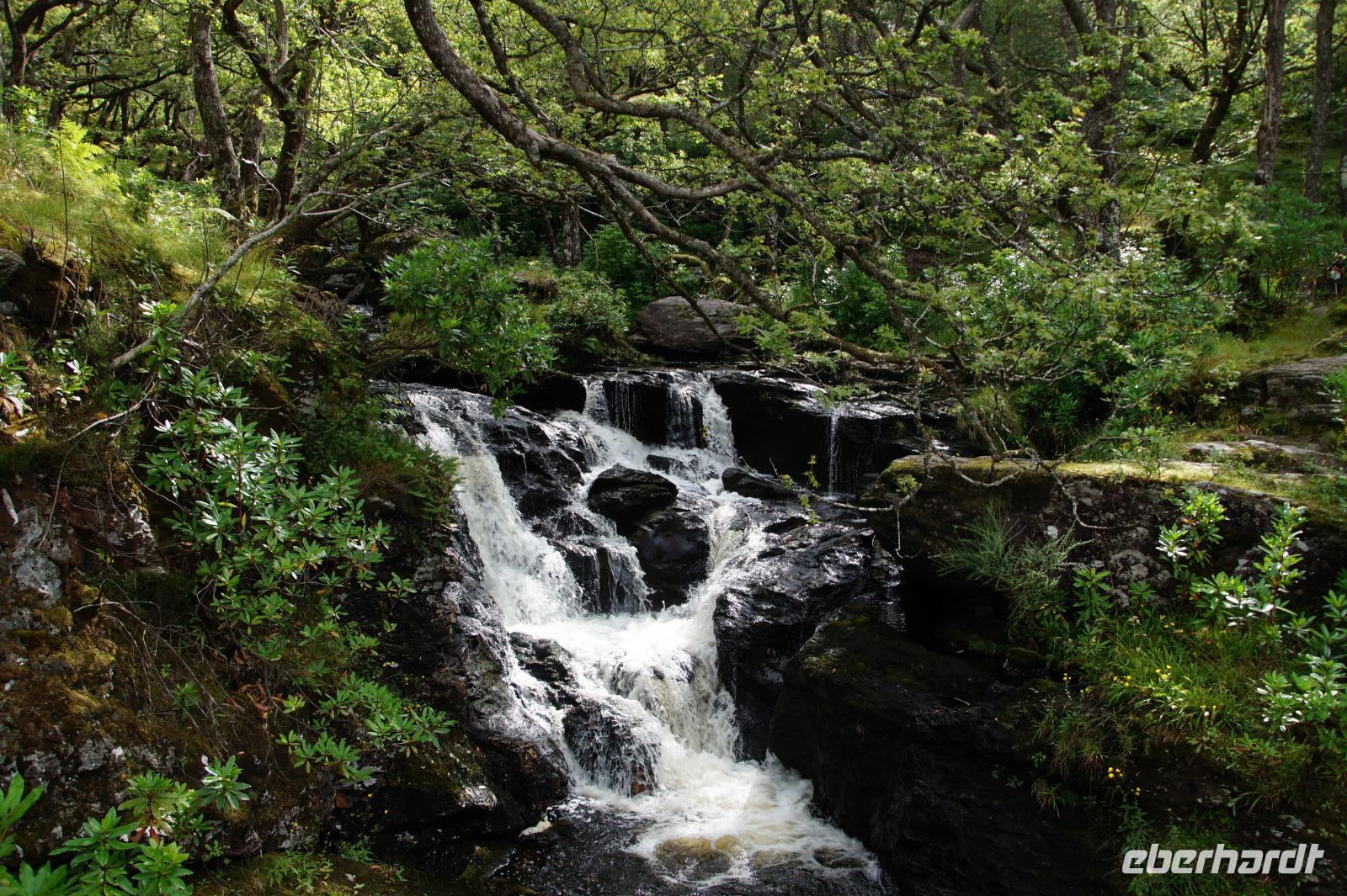 Wasserfällchen &ndash; &copy; Andreas Böcker (Eberhardt TRAVEL)