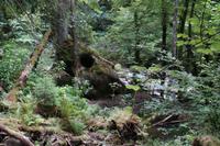 The Hermitage &ndash; &copy; Andreas Böcker (Eberhardt TRAVEL)