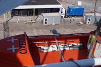 Möwe, Hafen IJmuiden &ndash; &copy; Andreas Böcker (Eberhardt TRAVEL)