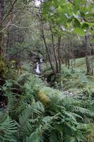 Bach am Loch Lomond &ndash; &copy; Andreas Böcker (Eberhardt TRAVEL)