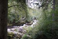 River Braan  &ndash; &copy; Andreas Böcker (Eberhardt TRAVEL)