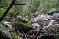 Am River Braan &ndash; &copy; Andreas Böcker (Eberhardt TRAVEL)