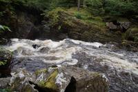 River Braan  &ndash; &copy; Andreas Böcker (Eberhardt TRAVEL)
