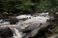 River Braan  &ndash; &copy; Andreas Böcker (Eberhardt TRAVEL)