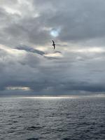 Labrador Sea